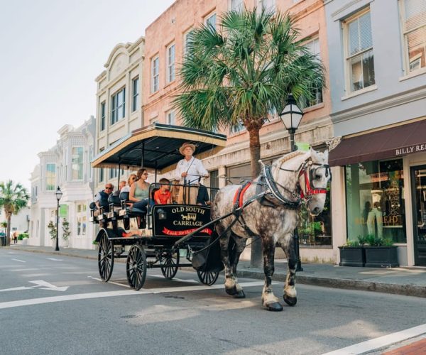 Charleston: Historical Downtown Tour by Horse-drawn Carriage – Charleston, South Carolina