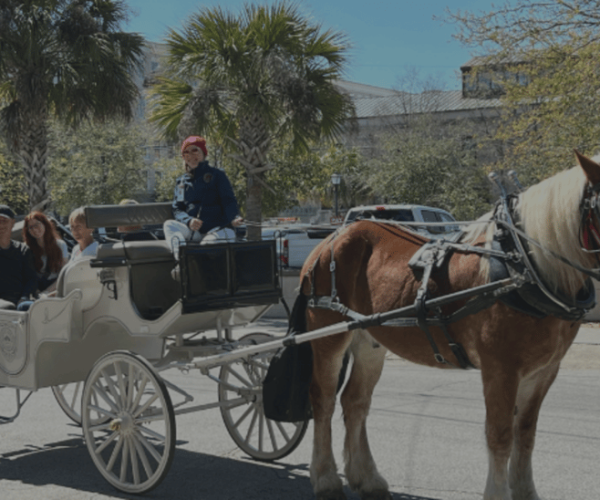 Charleston: Private Haunted History Carriage Ride – Charleston, South Carolina