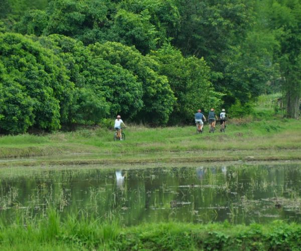 Chiang Mai Fields of Gold Cycling Tour – Chiang Mai Province, Thailand