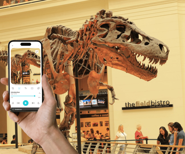 Chicago: Field Museum Ticket & In-App Audio Tour (ENG) – Chicago, Illinois