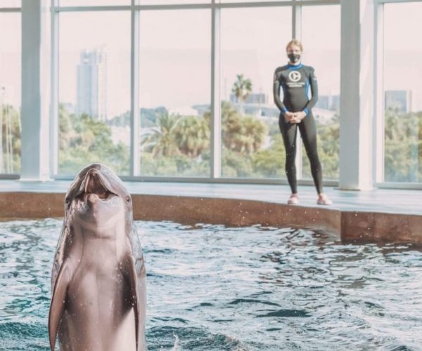 Clearwater: Eco-Certified Marine Aquarium General Admission – Clearwater, Florida