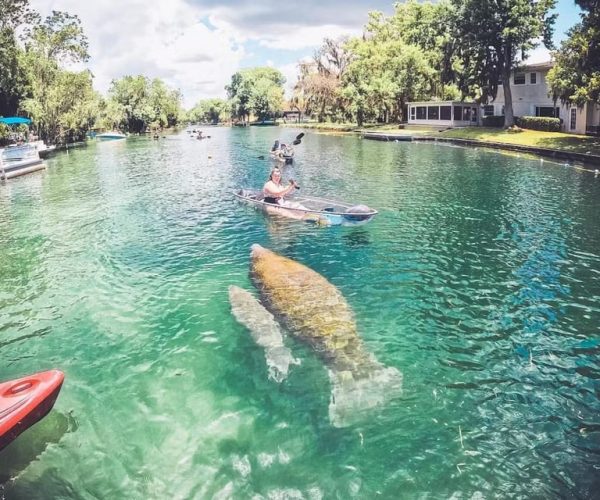 Crystal River: Clear Kayak Manatee Ecotour – Crystal River, Florida