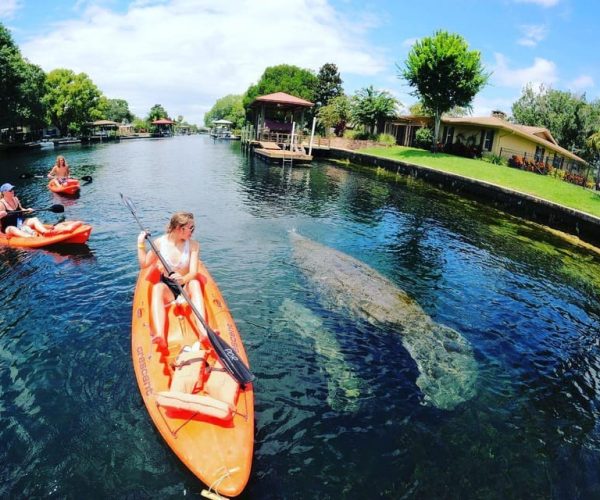 Crystal River: Kayak Rental – Crystal River, Florida