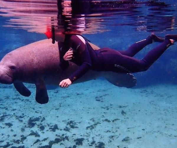 Crystal River: Kayak and Swim with Manatees Tour – Crystal River, Florida