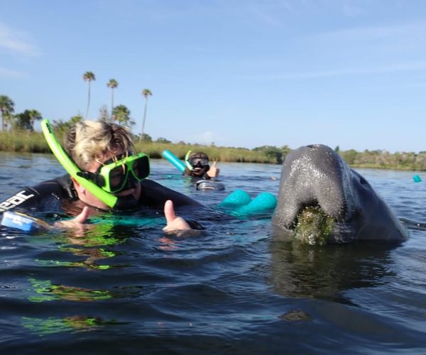 Crystal River: VIP Manatee Swim w/ In-water Photographer – Crystal River, Florida