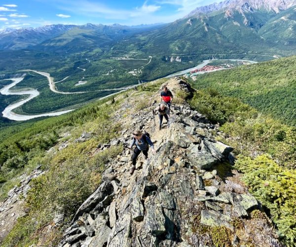 Denali: 5 Hour Guided Into The Mountains Hiking Tour – Alaska, Alaska