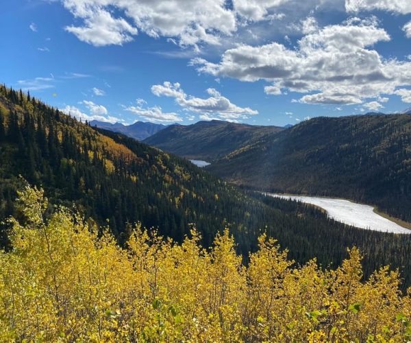 Denali: 5-Hour Guided Wilderness Hiking Tour – Denali National Park and Preserve, Alaska