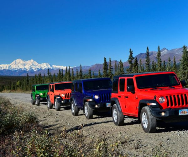 Denali: Highway Jeep Excursion – Denali National Park and Preserve, Alaska