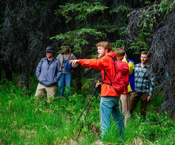 Denali: Naturalist Walking Tour in Denali National Park – Denali National Park and Preserve, Alaska