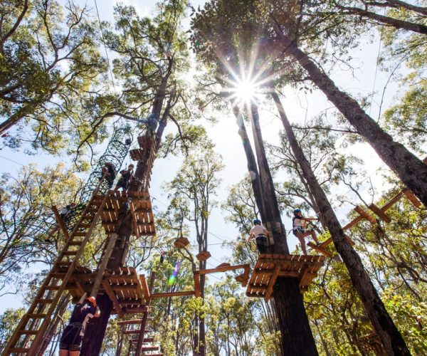 Dwellingup: Tree Ropes Course – Western Australia, Australia