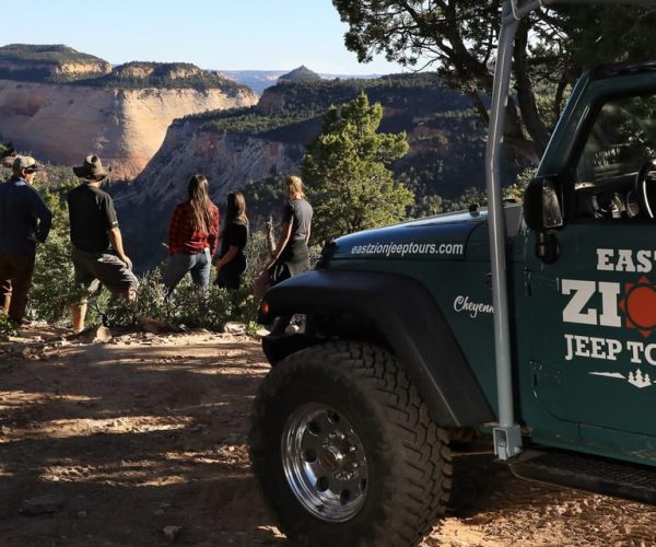 East Zion: 1-Hour East Rim Jeep Tour – Orderville, Utah