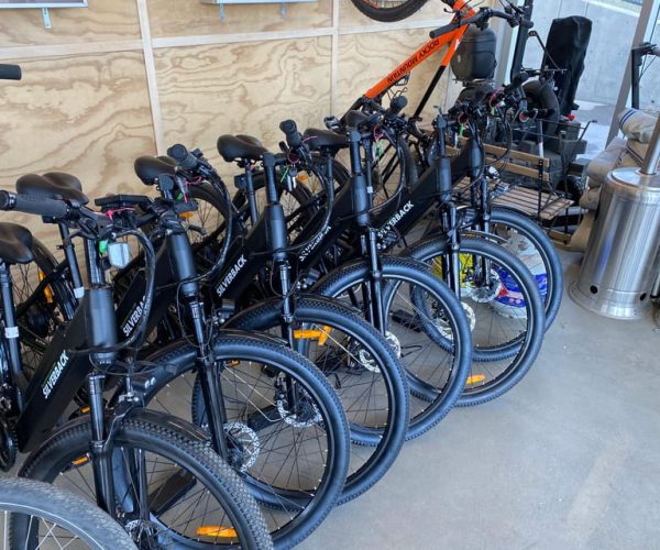 Edmonton: E-Bike Rental with Helmet – Edmonton, Canada