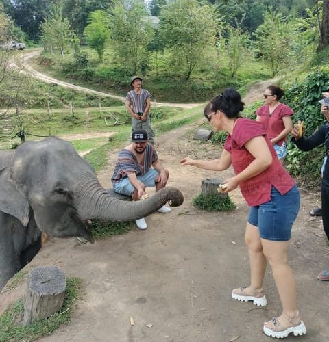 Elephant Care and Grand Canyon Jumping – Chiang Mai Province, Thailand