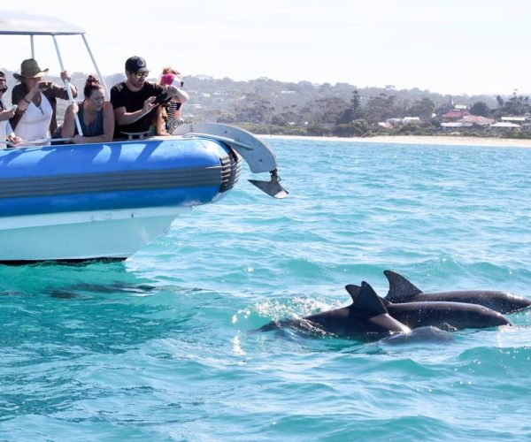 Encounter Bay: Southern Ocean Adventure Cruise – Victor Harbor, Australia