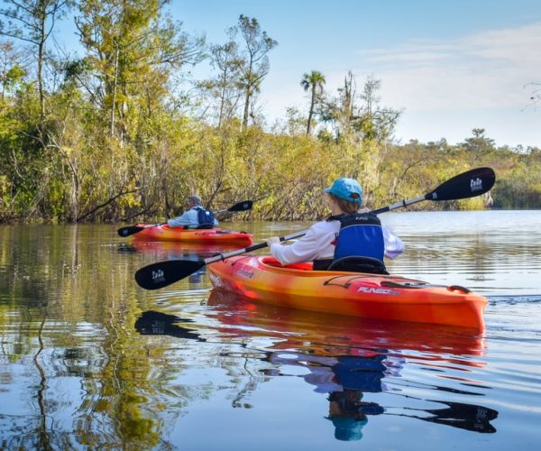 Everglades City: Guided Kayaking Tour of the Wetlands – Everglades City, Florida