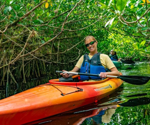 Everglades: Guided Kayak and Airboat Tour – Everglades City, Florida