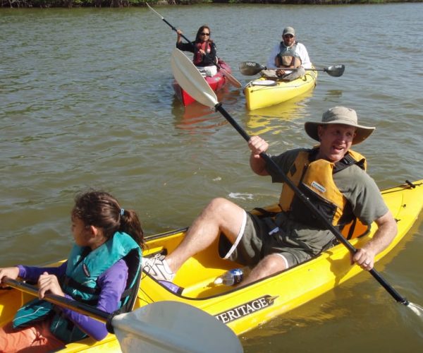 Everglades National Park 3-Hour Kayak Eco Tour – Everglades City, Florida