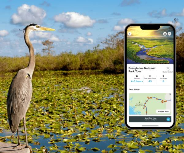 Everglades National Park: Audio Tour Guide – Anhinga Trail, Florida