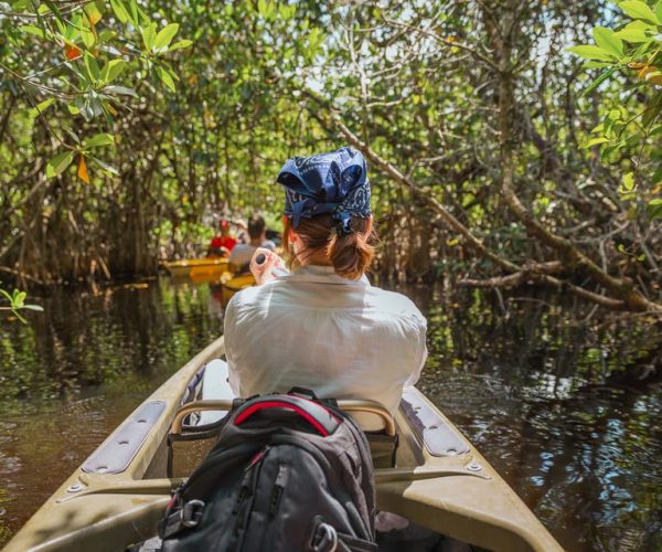 Everglades National Park: Mangrove Tunnel Kayak Eco-Tour – Fort Myers, Florida