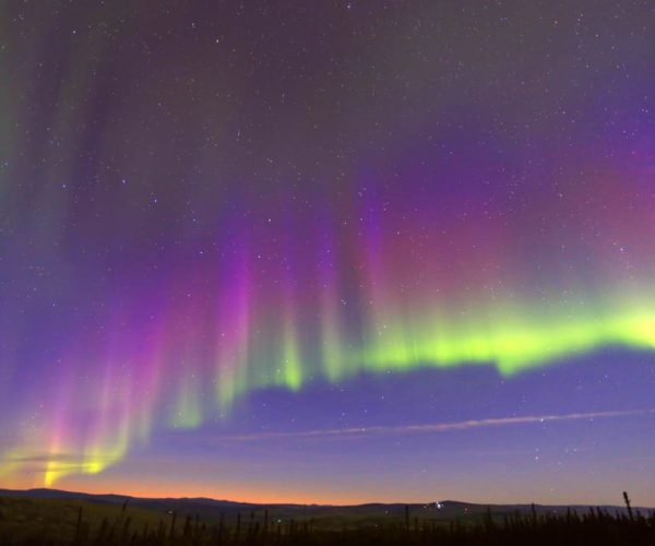 Fairbanks: Moonlight Dog Sled, Dinner & Northern Lights – Alaska, United States