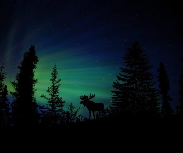 Fairbanks: Northern Lights and Chena Hot Springs Tour – Fairbanks, Alaska