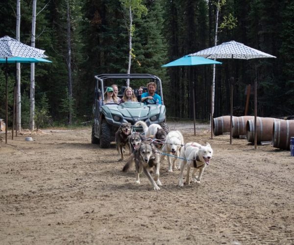 Fairbanks: Summer Mushing Cart Ride and Kennel Tour – Fairbanks, Alaska