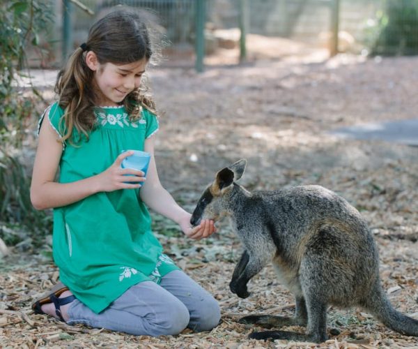 Featherdale Wildlife Park General Entry Ticket – New South Wales, Australia