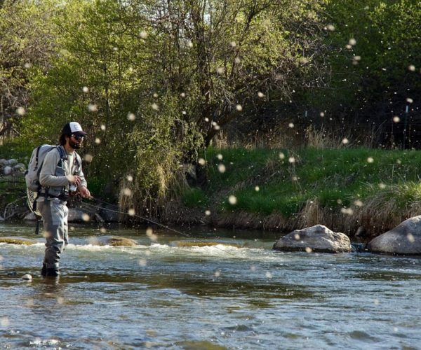 Fly Fish Utah Blue Ribbon Trout Waters – Park City, Utah