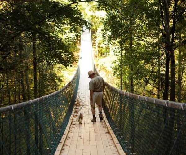 Foxfire Mountain: Hiking & Swinging Bridge Family Adventure – Foxfire Mountain Adventure Park, Tennessee