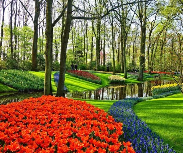 From Amsterdam: One-Way Private Transfer to/from Keukenhof – South Holland, Netherlands