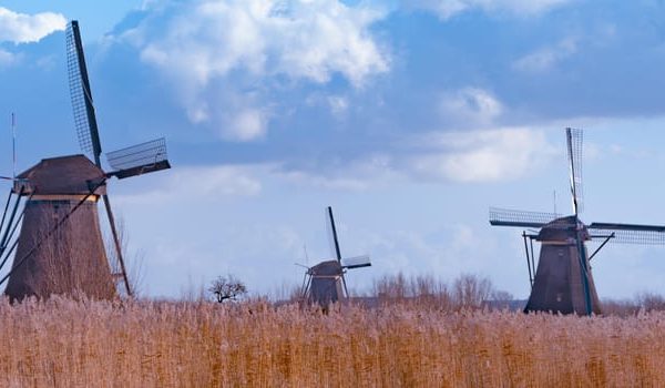 From Amsterdam: See Kinderdijk, Euromast, Delft and Den Haag – South Holland, Netherlands