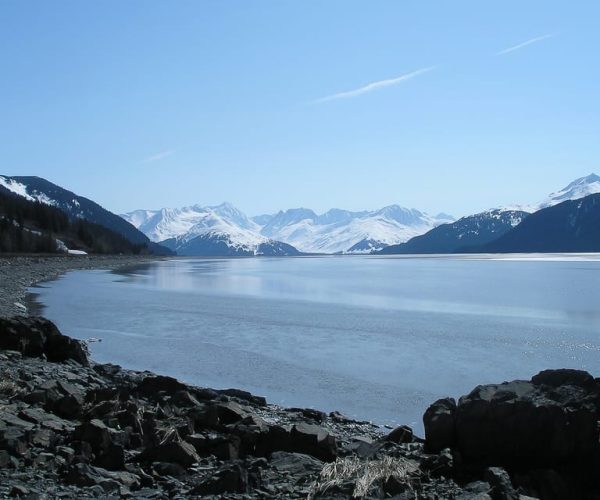 From Anchorage: Portage Glacier and Wildlife Full-Day Tour – Anchorage, Alaska