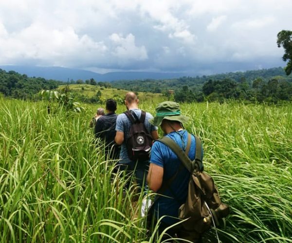 From Bangkok: Khao Yai National Park Jungle Trek with Lunch – Nakhon Nayok Province, Thailand