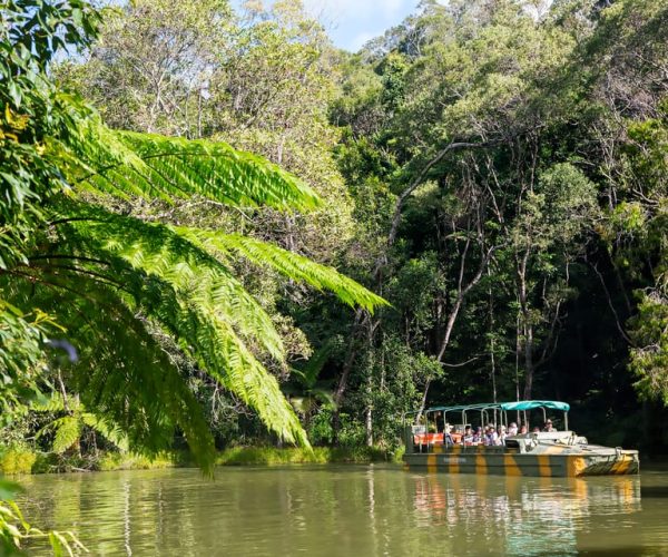 From Cairns: Full-Day Kuranda Army Duck Experience Tour – Queensland, Australia