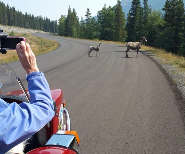 From Calgary: High Spirits Adventure in a Sidecar Motorcycle – Calgary, Canada