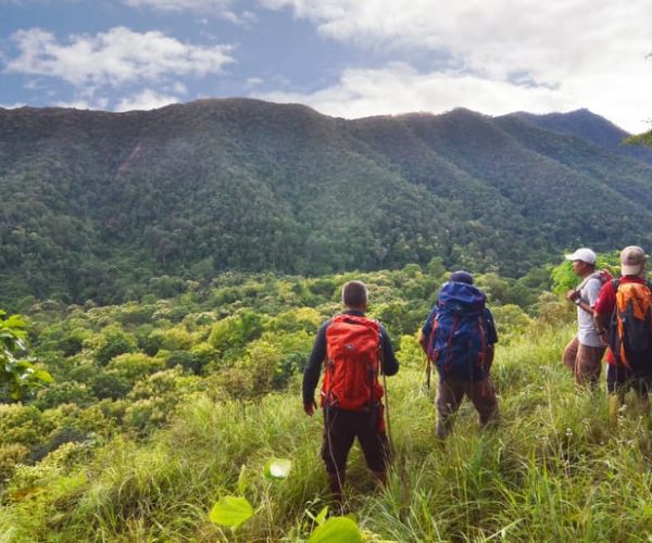 From Chiang Mai: High Mountain Day Trek – Chiang Mai Province, Thailand