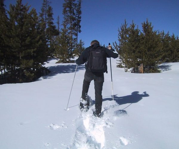 From Gardiner: Yellowstone National Park Snowshoe Tour – Lamar Valley, Wyoming