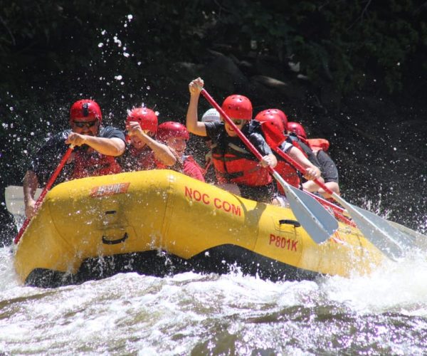 From Hartford: Upper Pigeon River White Water Rafting Tour – Great Smoky Mountains National Park, Tennessee