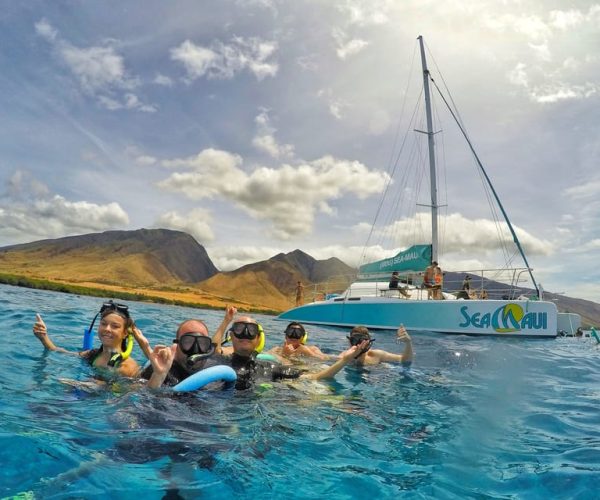 From Kaanapali: Afternoon West Maui Snorkeling & Sea Turtles – Kaanapali, Hawaii