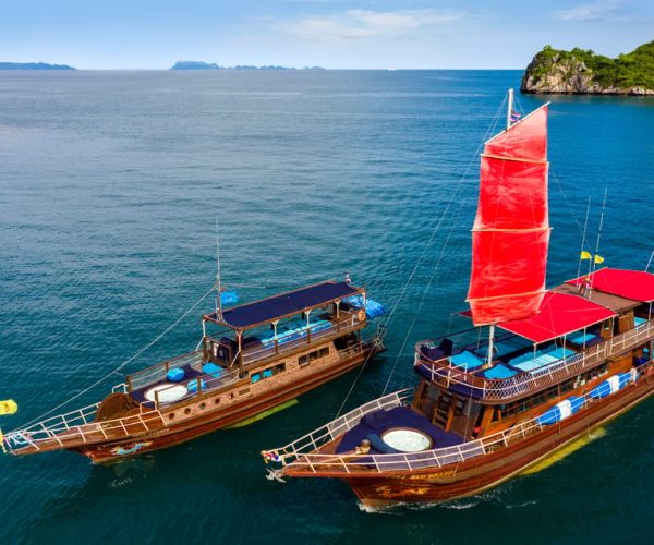 From Koh Samui: Half-Day Private Yacht Charter – Surat Thani Province, Thailand