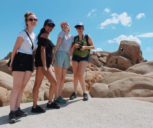 From Las Vegas: 4-Day Hiking and Camping in Joshua Tree – California, California