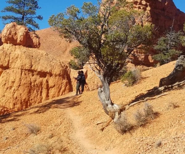 From Las Vegas: Zion and Bryce Canyon Guided Day Tour – The Narrows, Utah