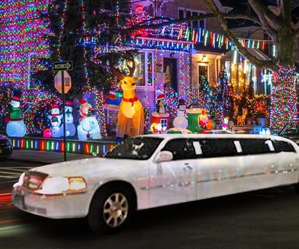 From Manhattan: Private Brooklyn Christmas Tour by Limousine – New York City, New York