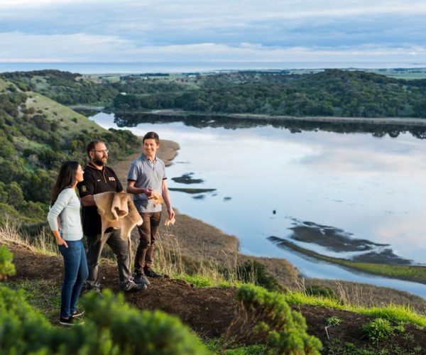 From Melbourne: Great Ocean Road and Otway Overnight Tour – Victoria, Australia, Australia