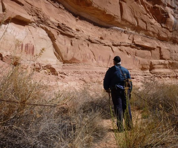 From Moab: 1-Day Horseshoe Canyon Exploration – Canyonlands National Park, Utah