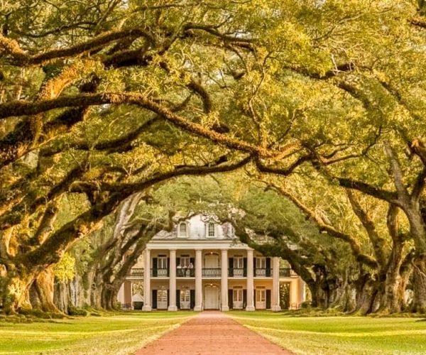 From New Orleans: Oak Alley Plantation Tour – Louisiana, United States