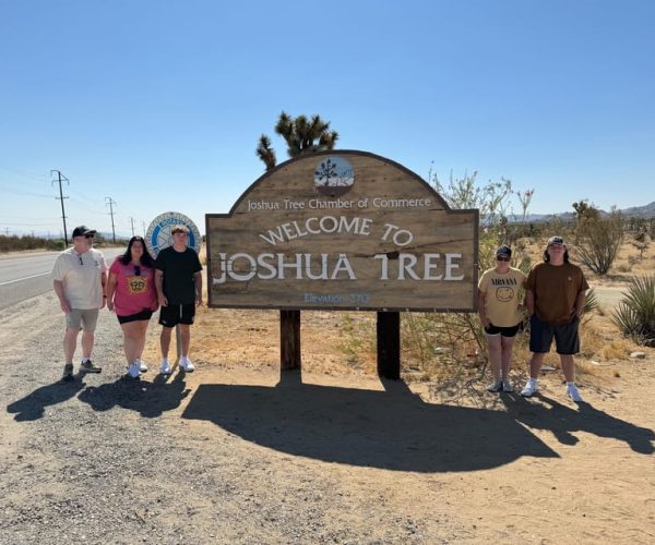 From Palm Springs: Joshua Tree National Park Driving Tour – California, California