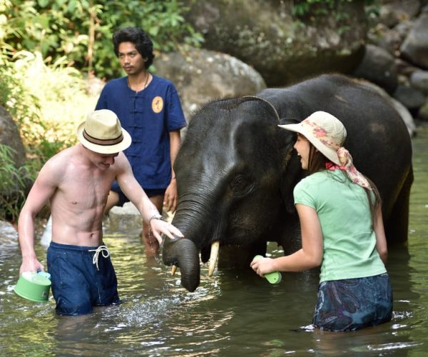 From Phuket/Khao Lak: Elephant Care Experience with Rafting – Khao Lak, Thailand