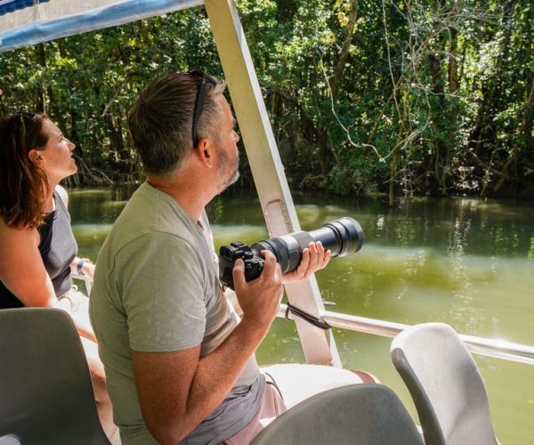 From Port Douglas: Daintree Half-Day Tour w/ River Cruise – Queensland, Australia