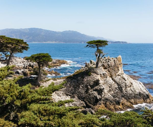 From San Francisco: Monterey and Carmel Day Tour – Monterey, California